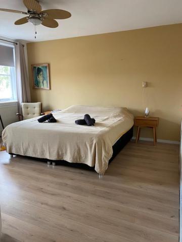 Sunnystay 43 Middelburg Zewnętrze zdjęcie